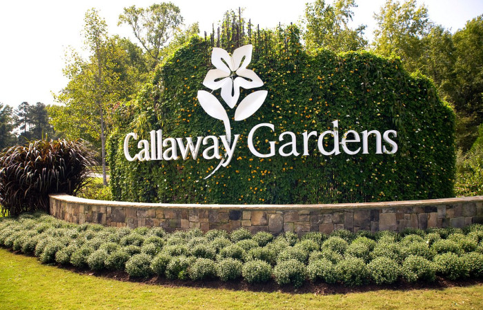 Callaway Gardens And Highway 354